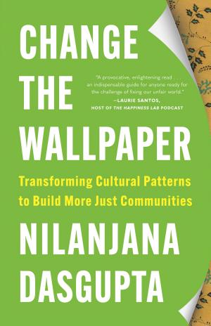 Cover of Change the Wallpaper: Transforming Cultural Patterns to Build More Just Communities