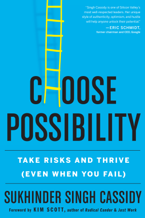 Cover of Choose Possibility: Take Risks and Thrive (Even When You Fail)