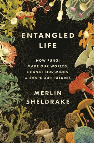 Cover of Entangled Life: How Fungi Make Our Worlds, Change Our Minds & Shape Our Futures