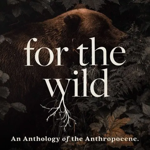 For The Wild podcast artwork